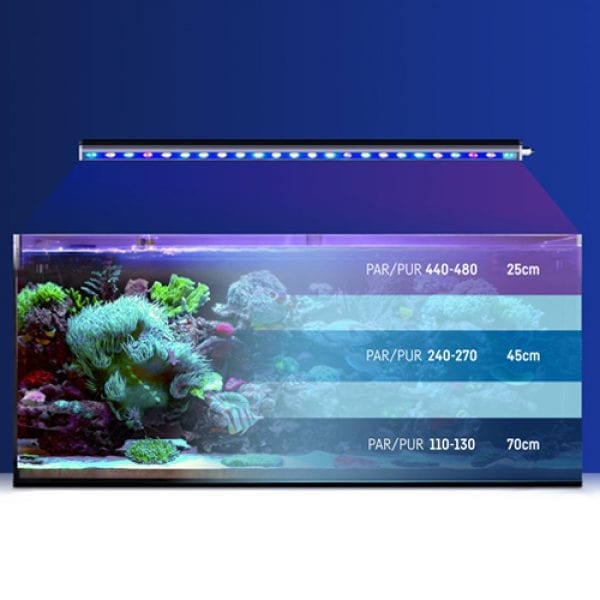Reef Factory - Reef Flare Bar M 90 cm Black