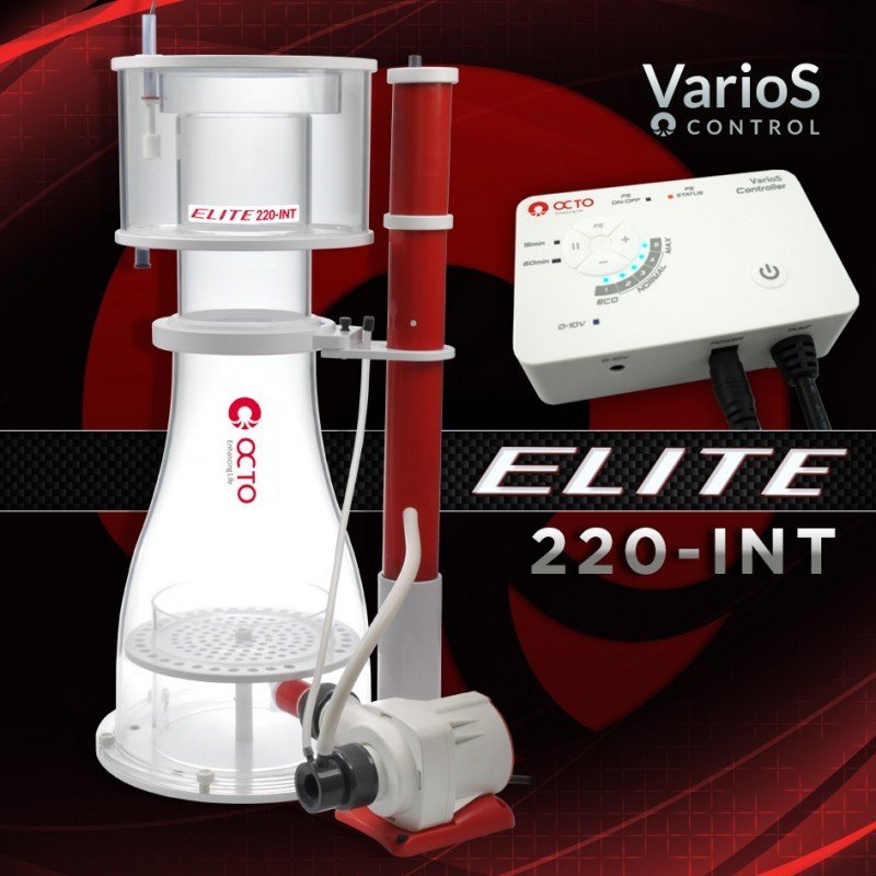 REEF OCTOPUS - Elite 220 Int