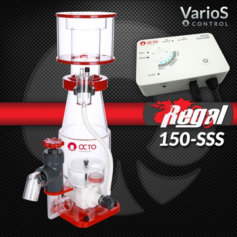 REEF OCTOPUS - REGAL 150S