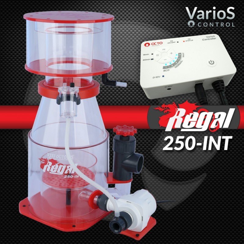 REEF OCTOPUS - REGAL 250 int