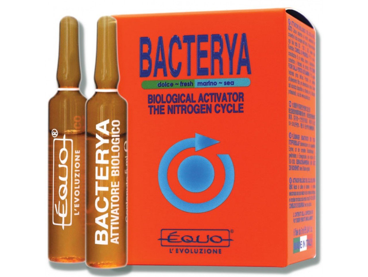 Bacterya-12