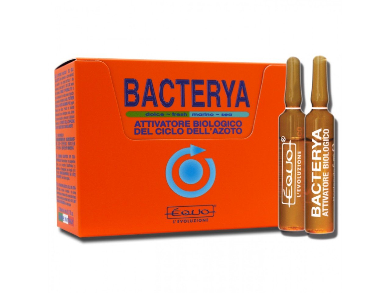 Bacterya- 24