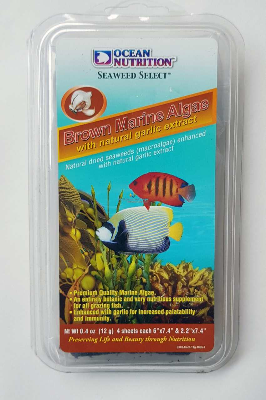 OCEAN NUTRİTİON - Brown Marine Algae 12 gr
