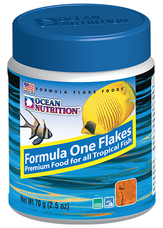 OCEAN NUTRITION - Formula One Flake Foods 71 gr.