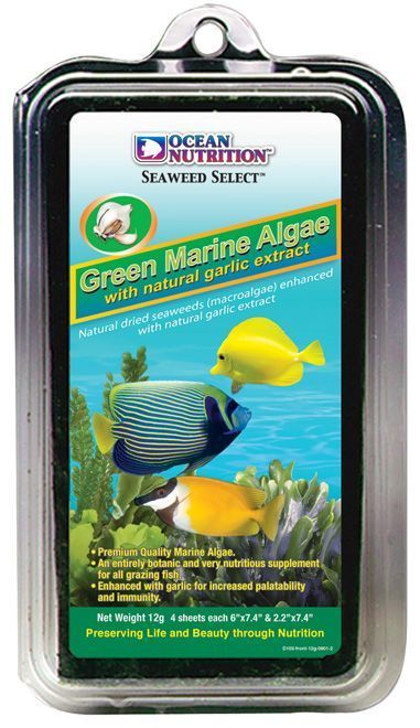 OCEAN NUTRİTİON - Green Marine Algae 12 gr