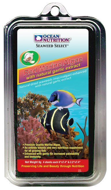 OCEAN NUTRİTİON - Red Marine Algae 8 gr