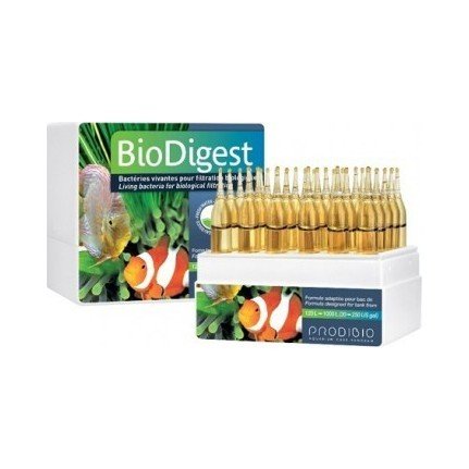 PRODIBIO - Biodigest 12 ampül