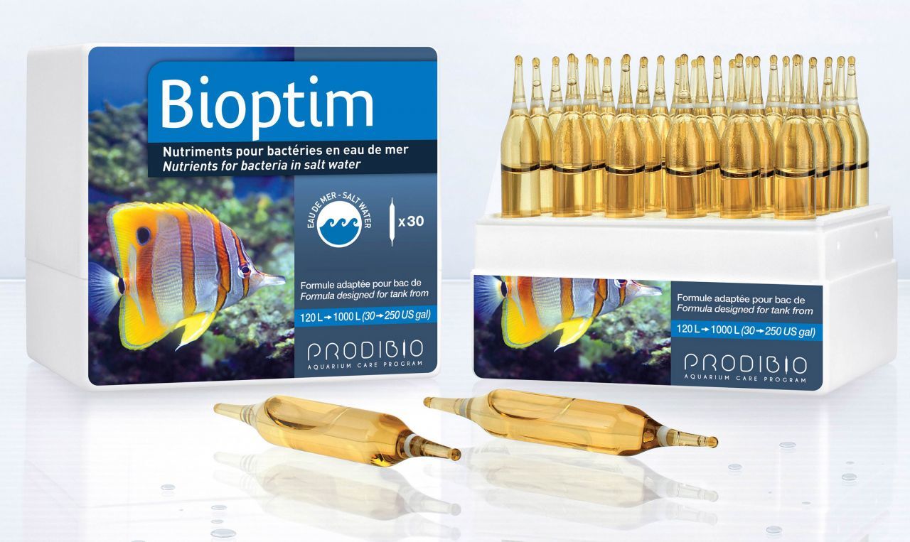 PRODIBIO - Bioptim 12 ampül